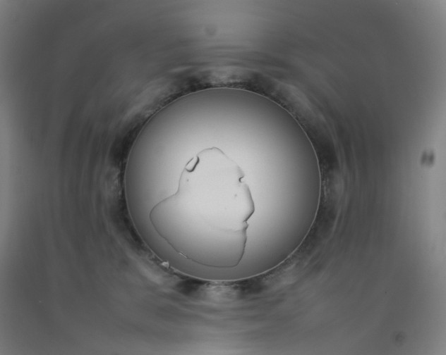 X0000092240327200709281129