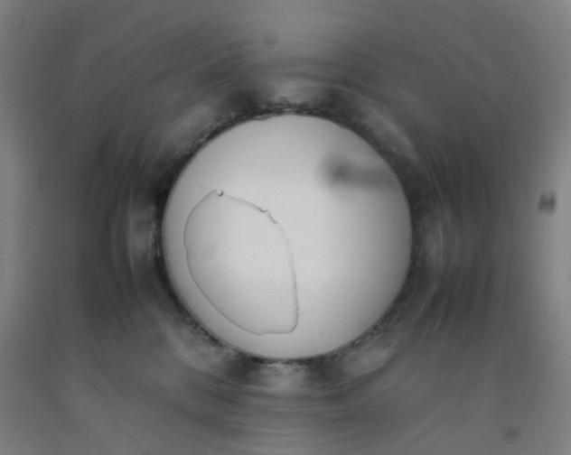 X0000092240328200709281129