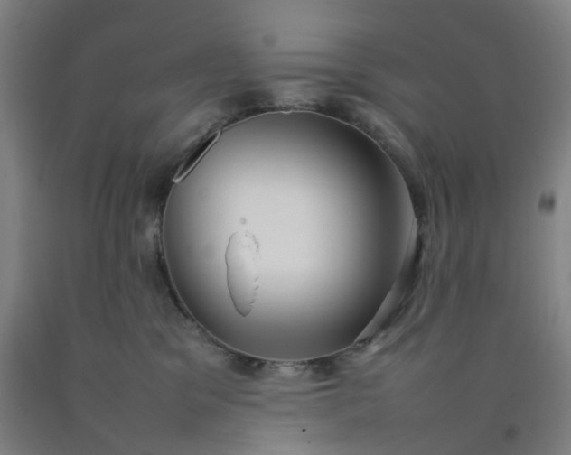 X0000092240329200709281129