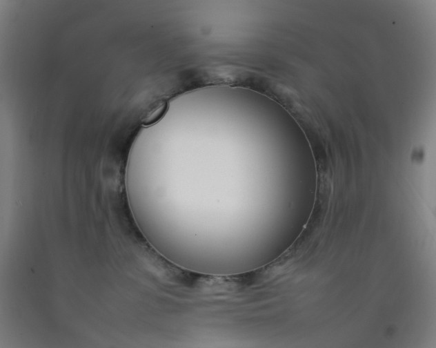 X0000092240331200709281129