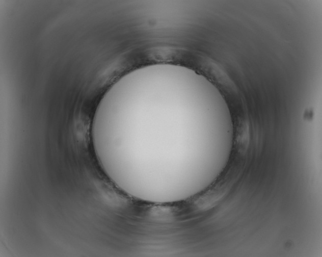 X0000092240332200709281129