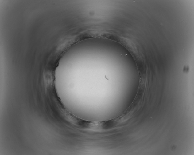 X0000092240335200709281129