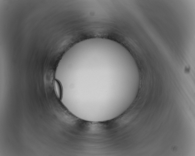 X0000092240336200709281129