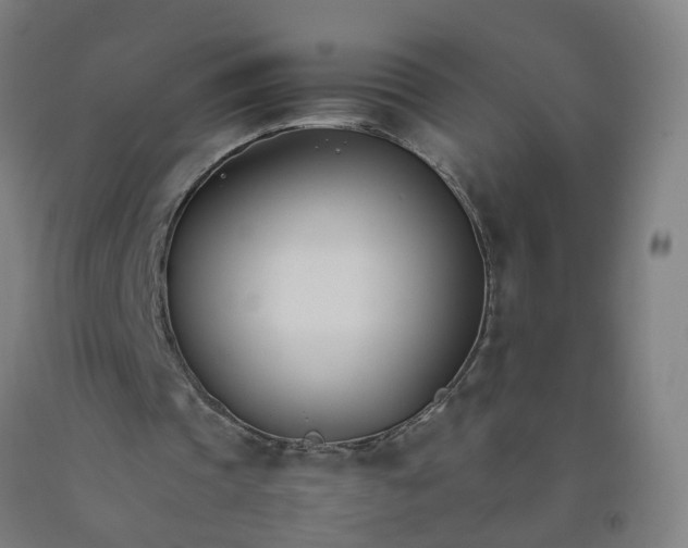 X0000092240337200709281128