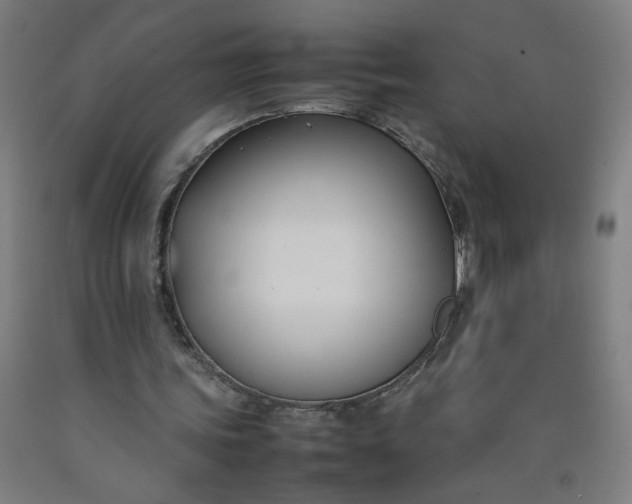 X0000092240339200709281128