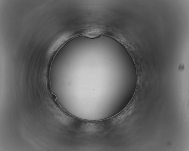 X0000092240341200709281128