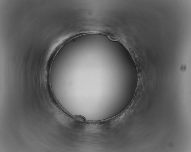 X0000092240342200709281128