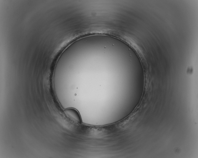 X0000092240346200709281128