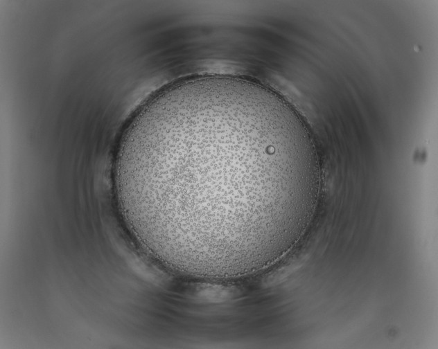 X0000092240347200709281128