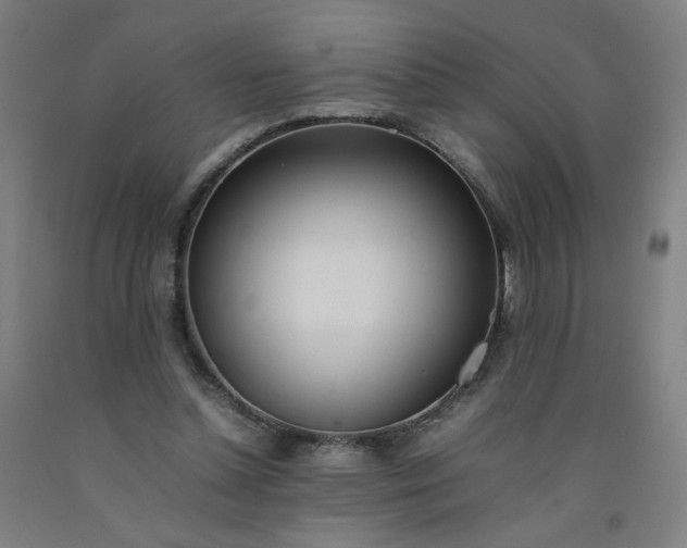 X0000092240348200709281128