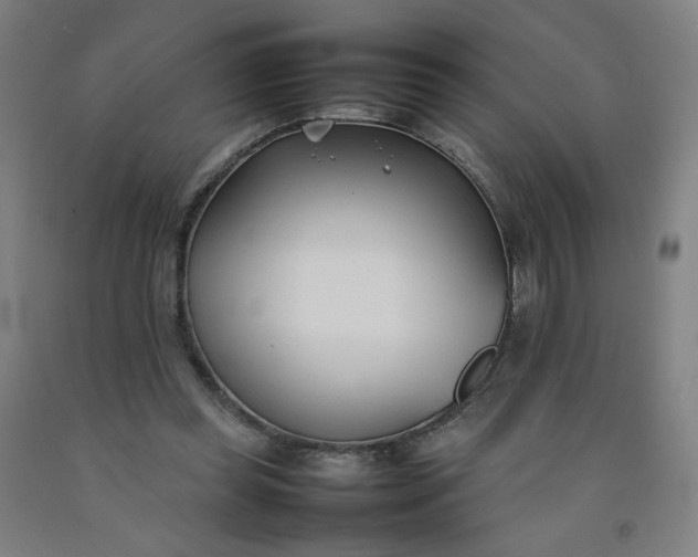 X0000092240349200709281128