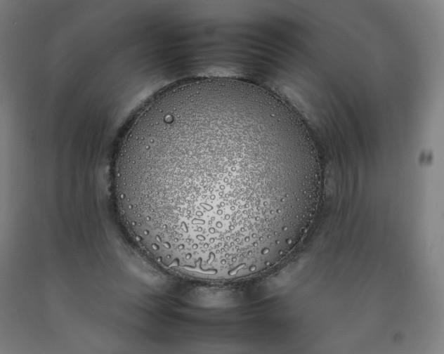 X0000092240351200709281128