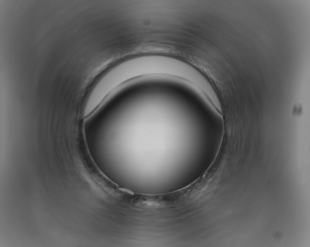 X0000092240352200709281128