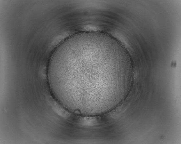 X0000092240353200709281128