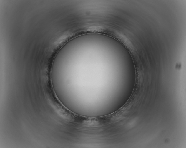 X0000092240354200709281128