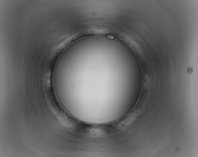 X0000092240358200709281128