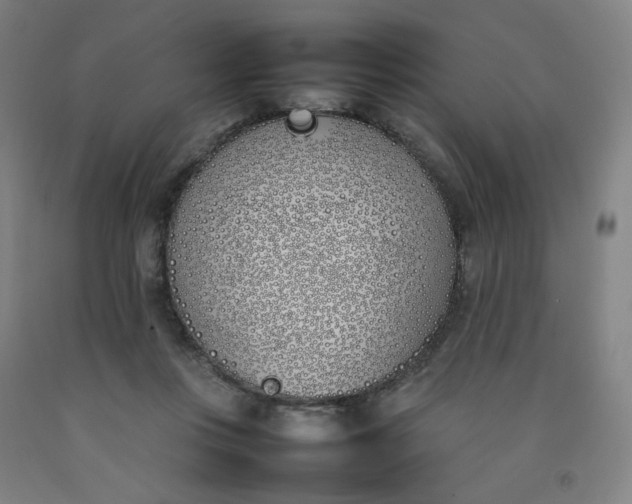 X0000092240359200709281128