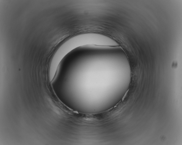 X0000092240360200709281128