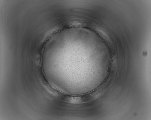 X0000092240361200709281128