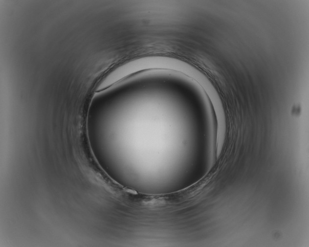 X0000092240362200709281128