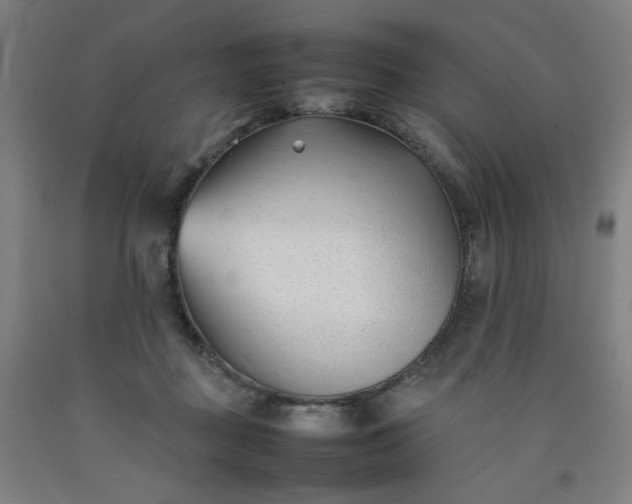 X0000092240363200709281129