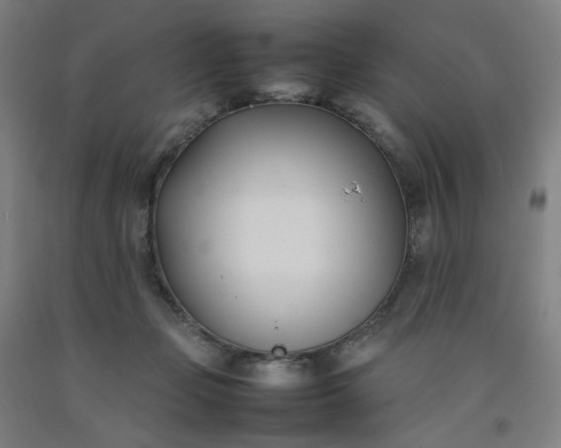 X0000092240365200709281129