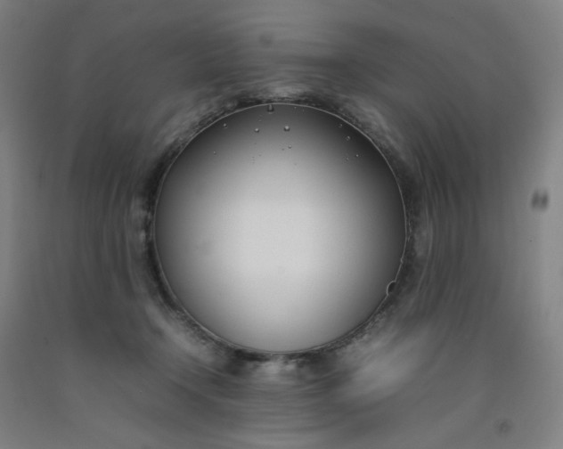 X0000092240366200709281129