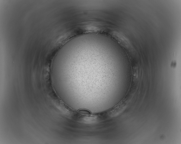 X0000092240369200709281129