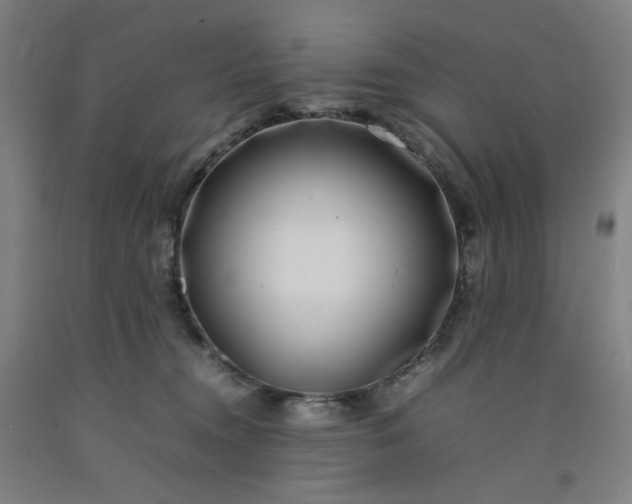 X0000092240372200709281129