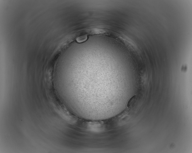 X0000092240373200709281129