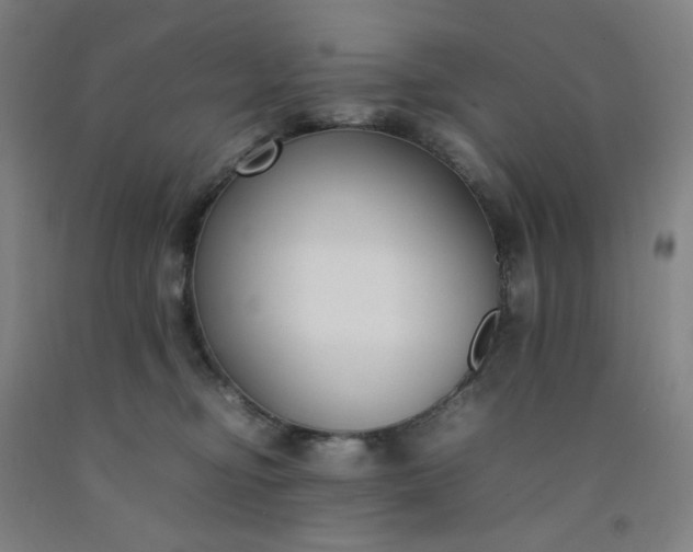 X0000092240374200709281129