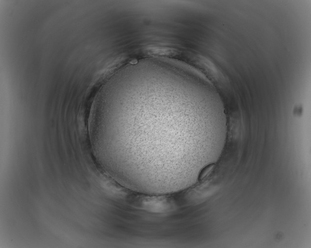 X0000092240377200709281129