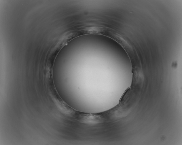 X0000092240379200709281129