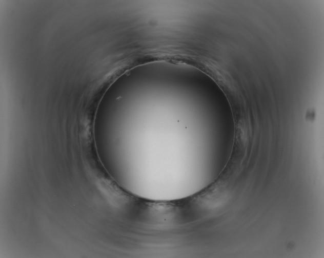 X0000092240380200709281129