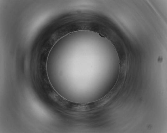 X0000092240383200709281129