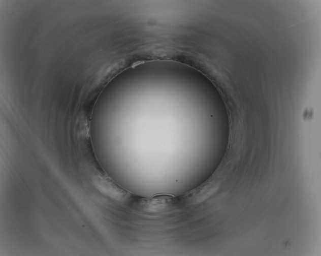 X0000092240384200709281129