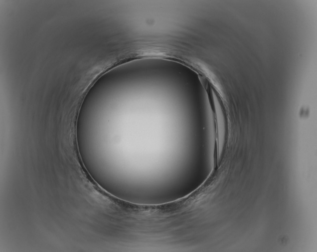 X0000092240385200709281128