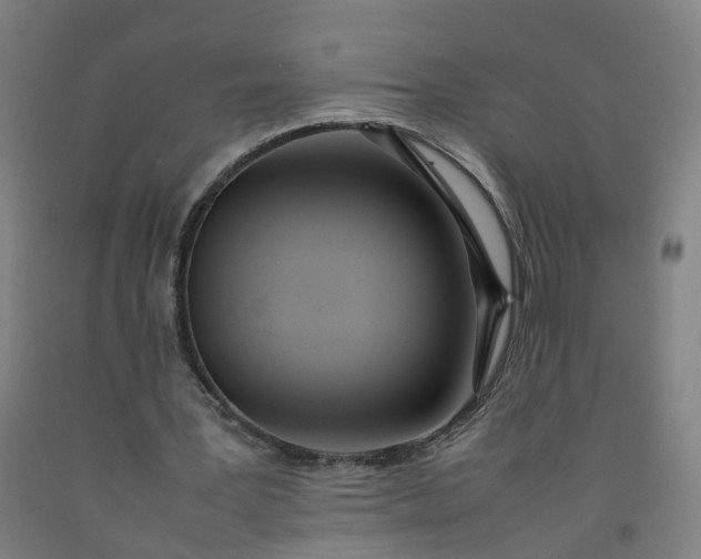 X0000092240387200709281128