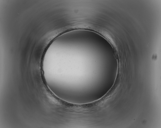 X0000092240389200709281128