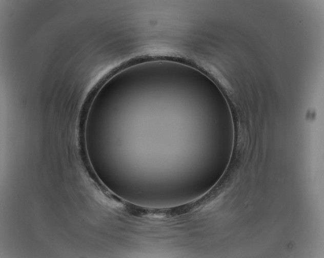 X0000092240391200709281128