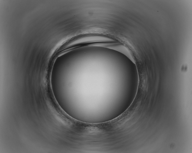 X0000092240392200709281128