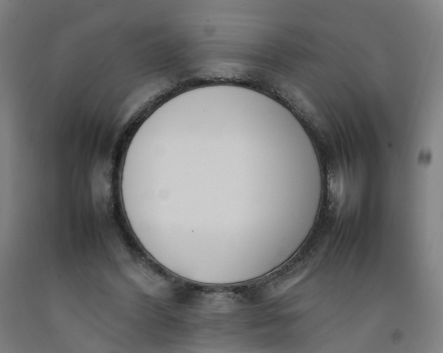 X0000092240396200709281128