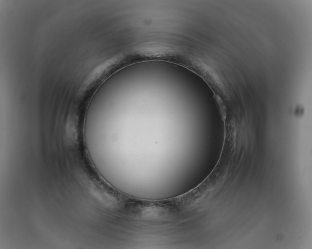 X0000092240400200709281128