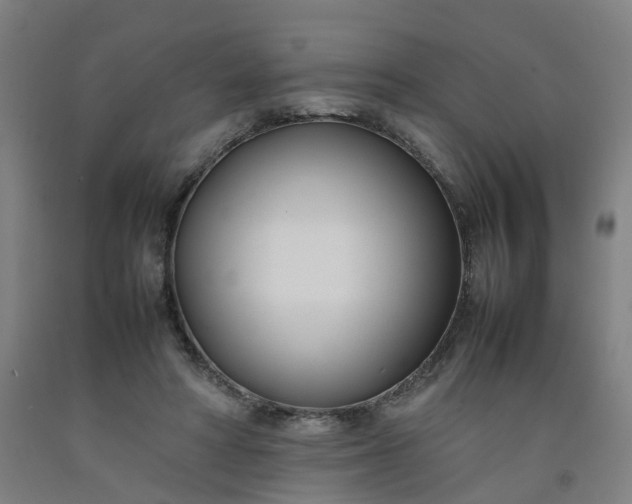 X0000092240402200709281128