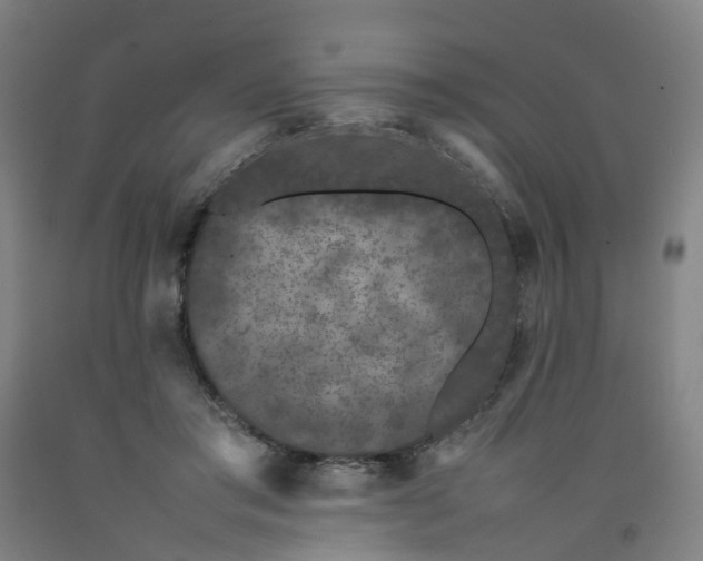 X0000092240405200709281128