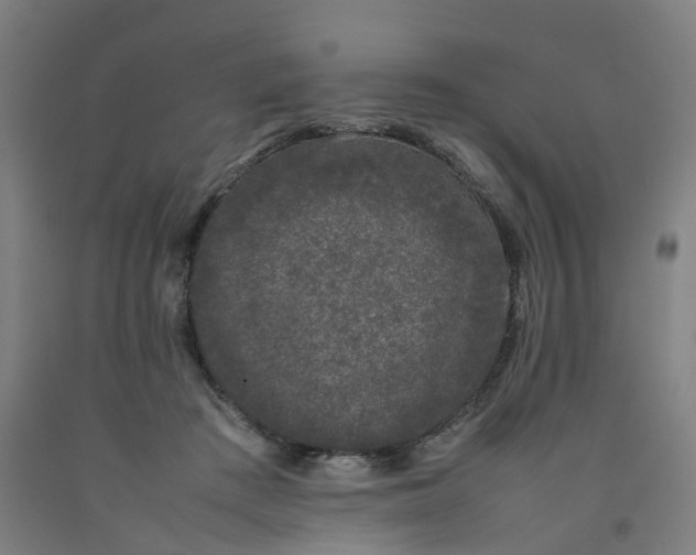 X0000092240409200709281128