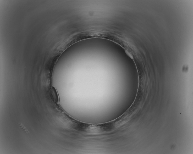 X0000092240413200709281128