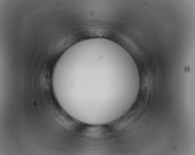 X0000092240414200709281128