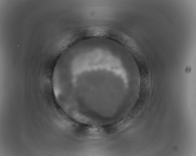 X0000092240415200709281128