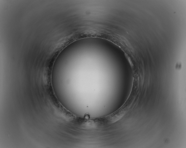 X0000092240416200709281128